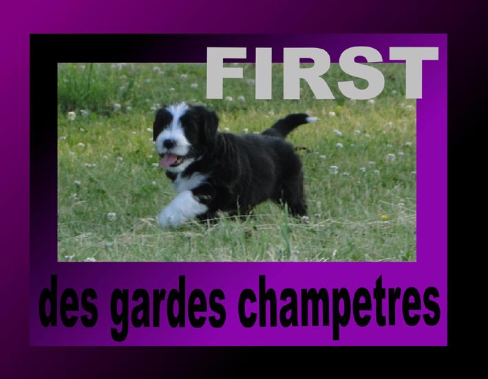First Des gardes champetres