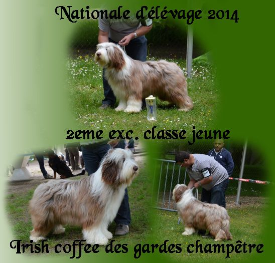 Des gardes champetres - N.E. 2014