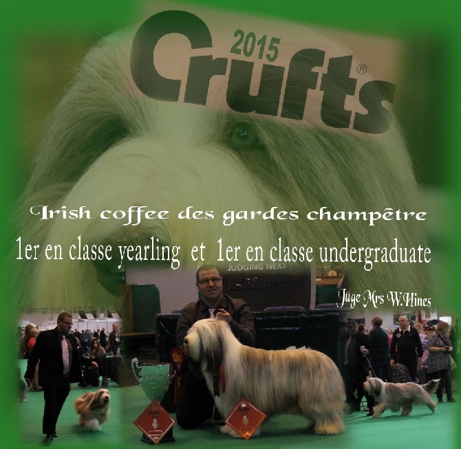 Des gardes champetres - CRUFTS 2015