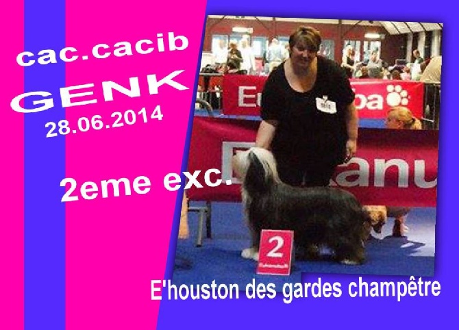 Des gardes champetres - expo CAC.CACIB  de GENK 