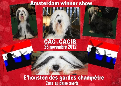 Des gardes champetres - amsterdam winner show(nov 2012)