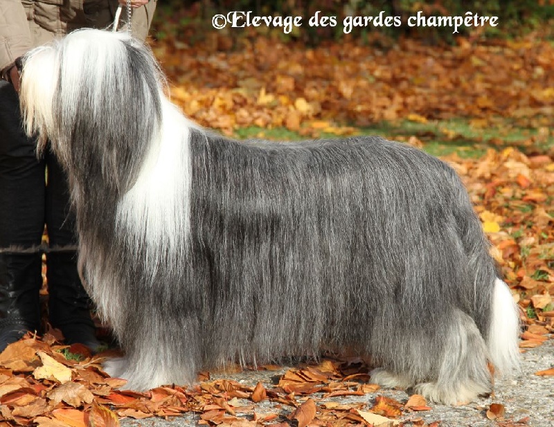 Lady in red el'bridorado