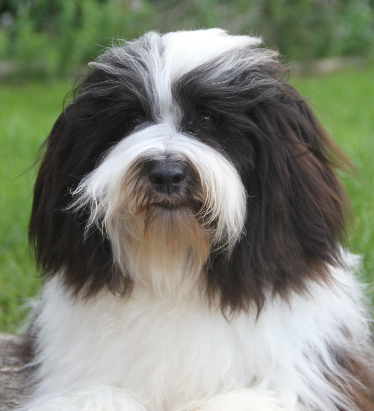 Very bad trip Del rey rakashi