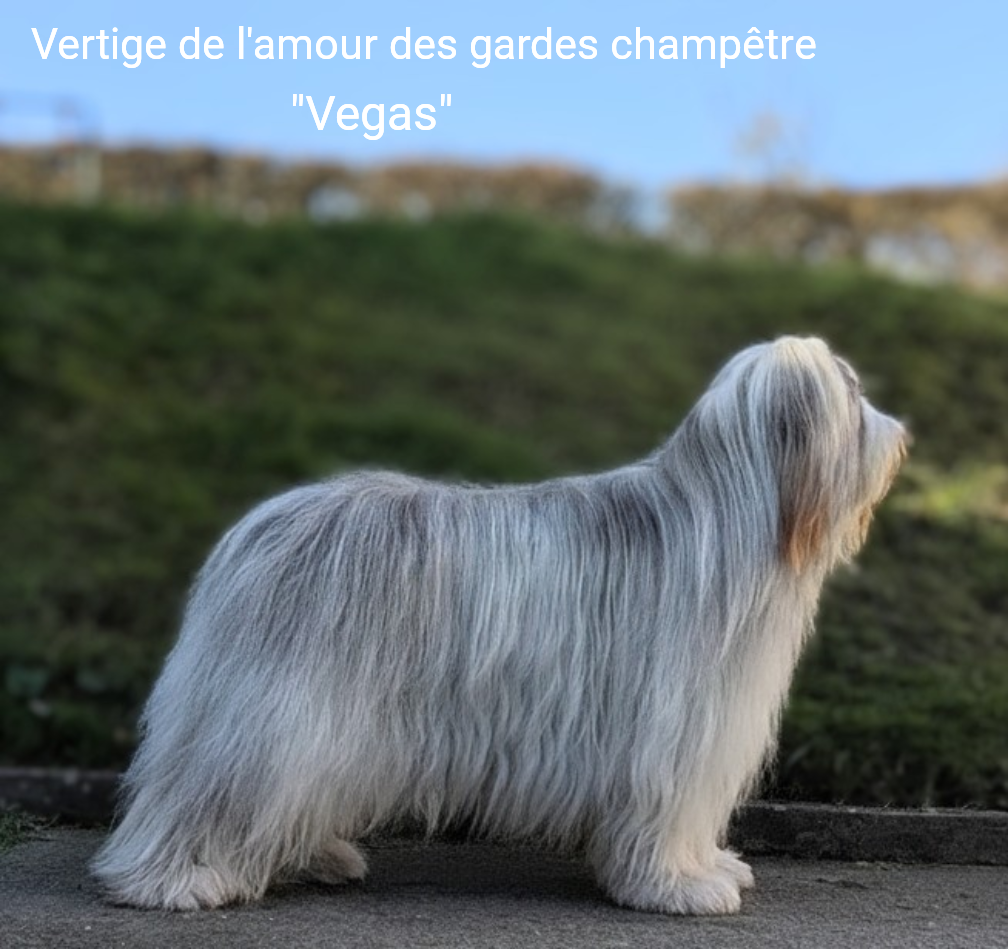 Vertige de l'amour Des gardes champetres