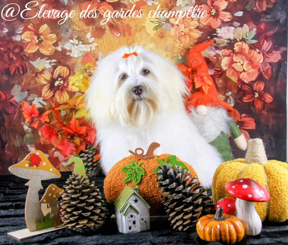 A la folie des gardes champêtre Des gardes champetres