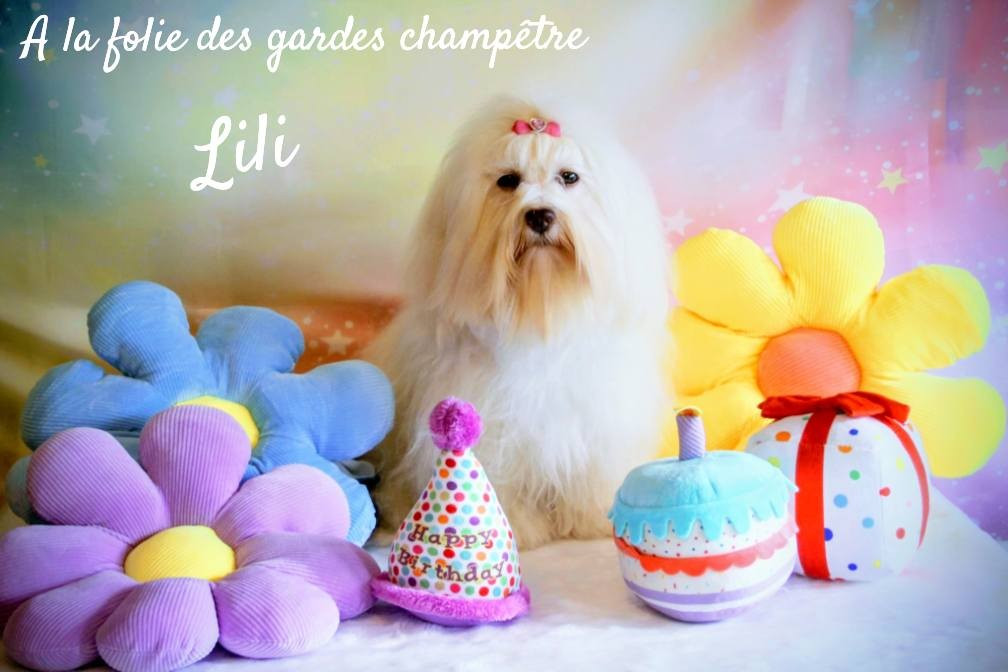 A la folie Des gardes champetres