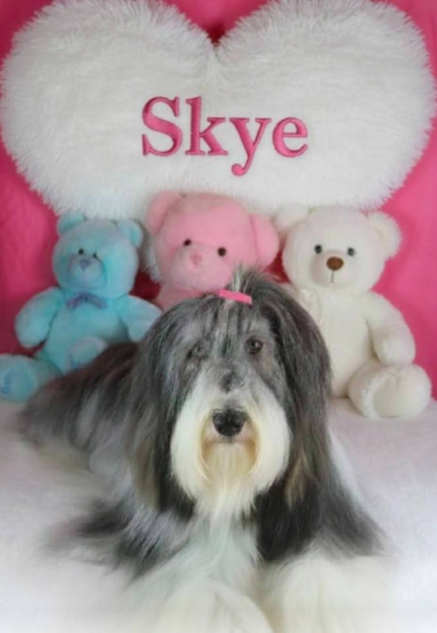 bientôt des bébés