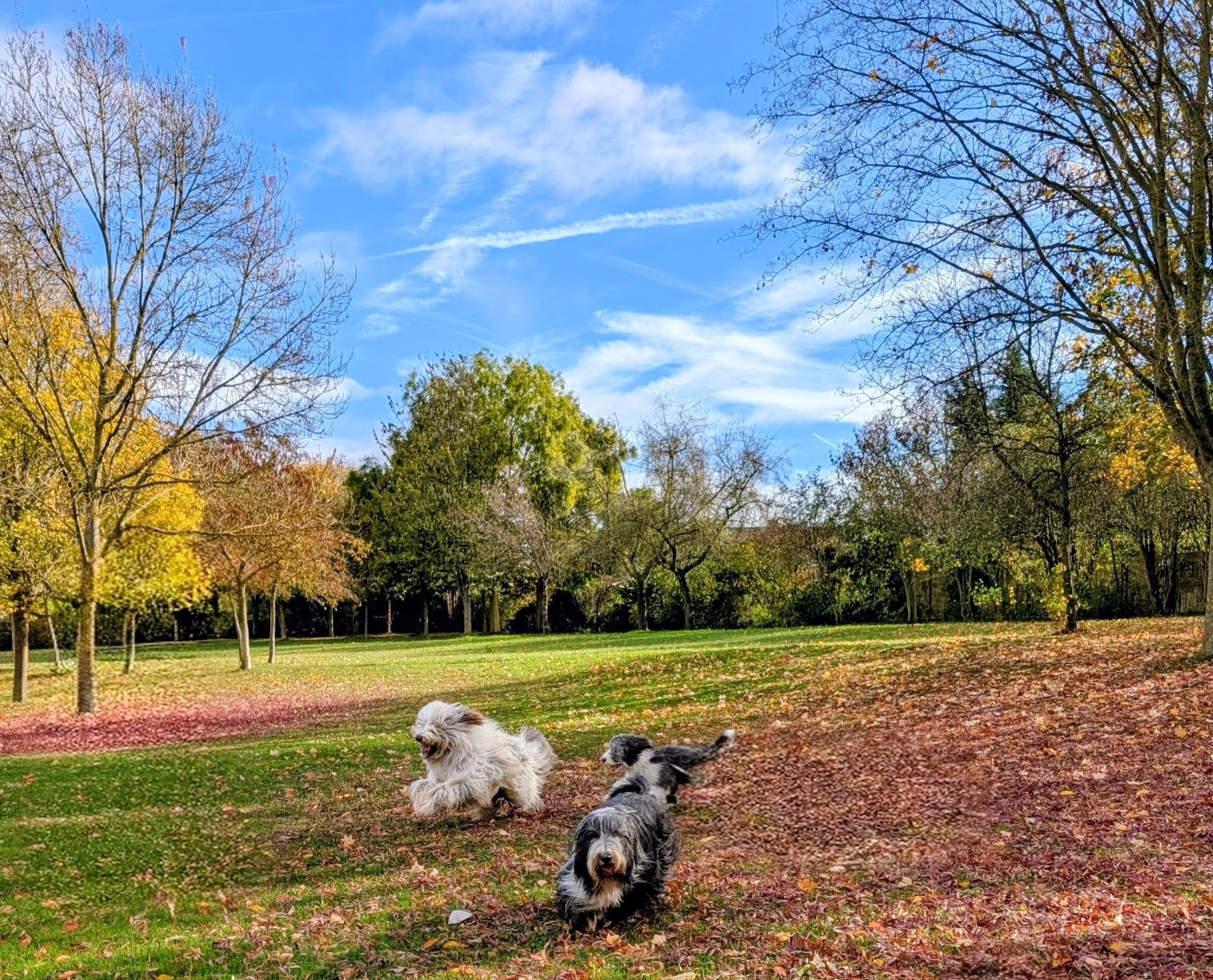 Les jolies couleurs d'automne