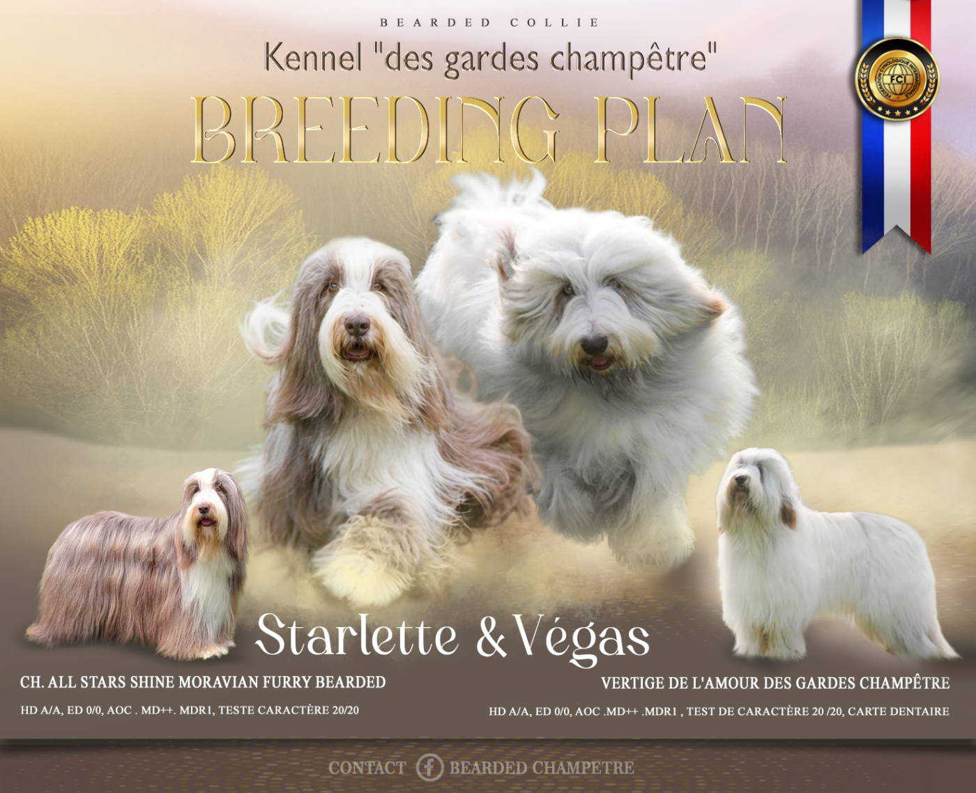 Bientôt des bébés