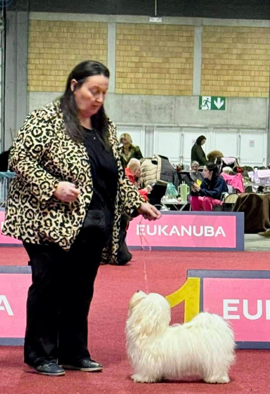 charleroi fevrier 2026