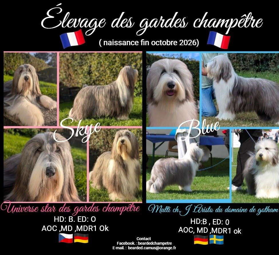 bientôt des bébés
